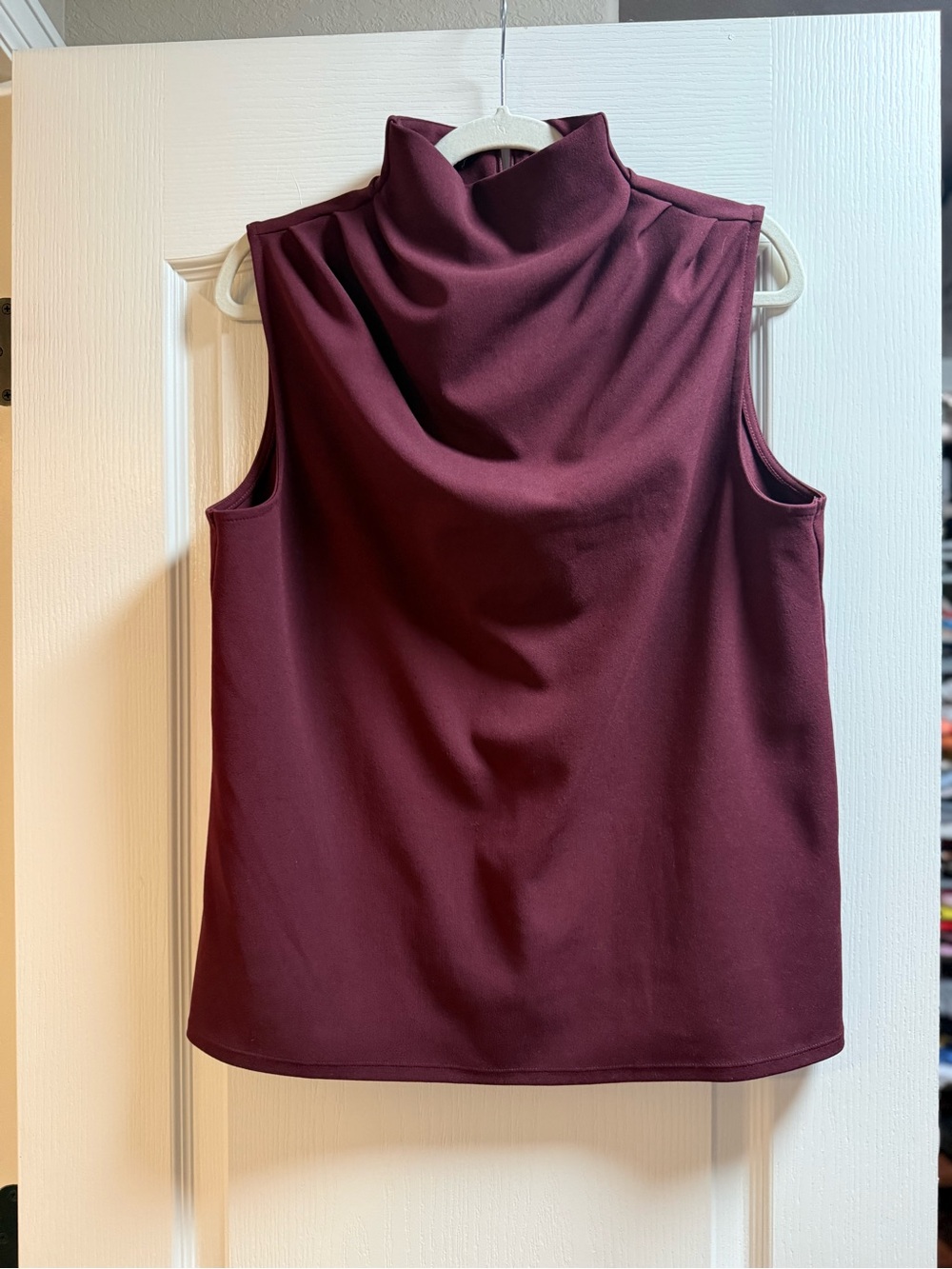 Express Sleeveless Mock Neck Top in Burgundy Wine